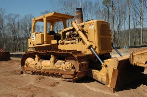 d9 cat